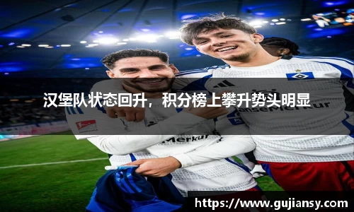 汉堡队状态回升，积分榜上攀升势头明显