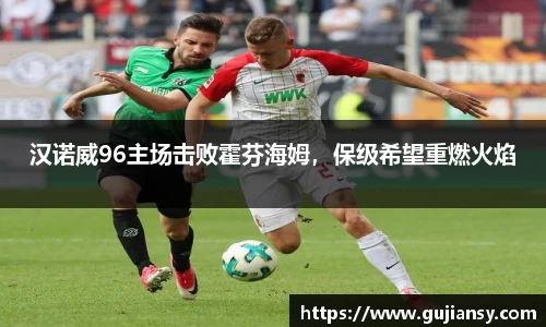 汉诺威96主场击败霍芬海姆，保级希望重燃火焰