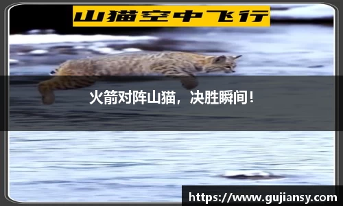 火箭对阵山猫，决胜瞬间！